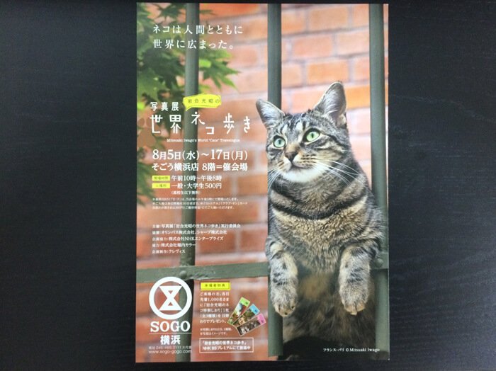 岩合光昭写真展 横浜そごう ねこの京都 開催 世界ネコ歩き第3弾