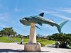 バスツアーで行く沖縄美ら海水族館～イルカショーとジンベエザメは必見