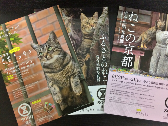 岩合光昭写真展 横浜そごう ねこの京都 開催 世界ネコ歩き第3弾